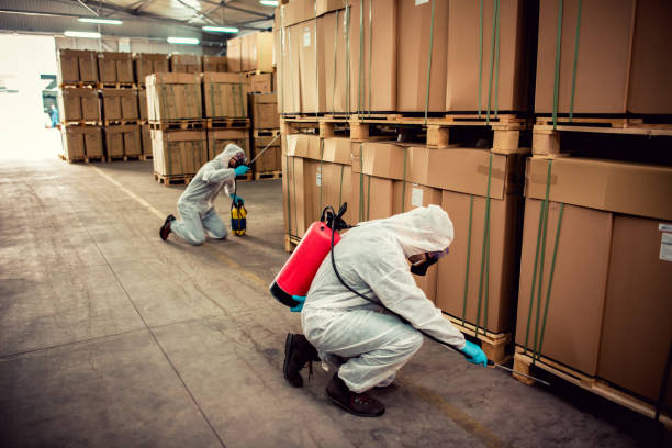 Best Termite Control Services  in Oxford, PA
