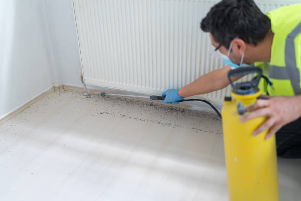 Best Pest Inspection Near Me  in Oxford, PA